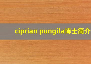 ciprian pungila博士简介